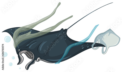 Stingray and plastic bags on white background