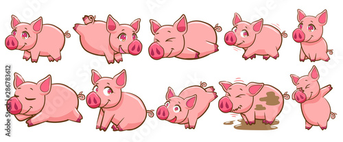 pig vector set graphic clipart design