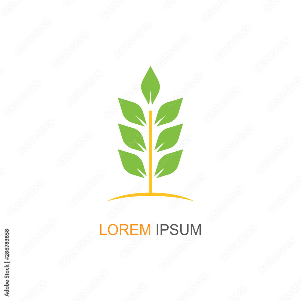 Nature Leaf Logo. modern design. vector icon illustration Nature Leaf Logo. modern design. vector icon illustration