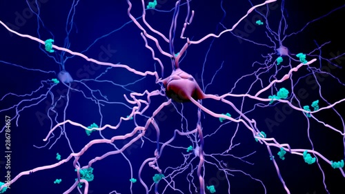 Death of neurons in the aging brain or Proteins in neurons photo