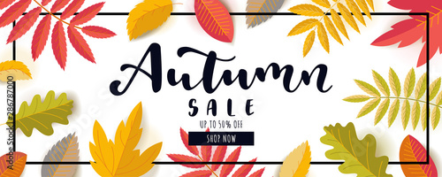 Autumn Sale promotion banner. Up to 50 percent discount offer. Bright warm colors design with a frame. Scattered colorful falling autumn leaves. Vivid juicy colors. Bouncy lettering. Vector