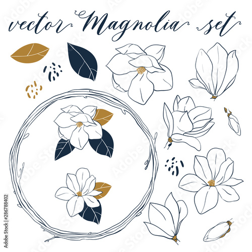 Vector Magnolia set. Hand drawn botanical elements in line art style. Magnolia flowers,leaves, buds and wreath isolated on white background.