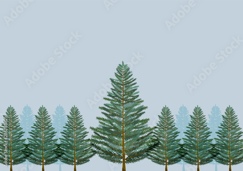 クリスマス　背景　もみの木　大木　樹木　木　林　森　針葉樹
