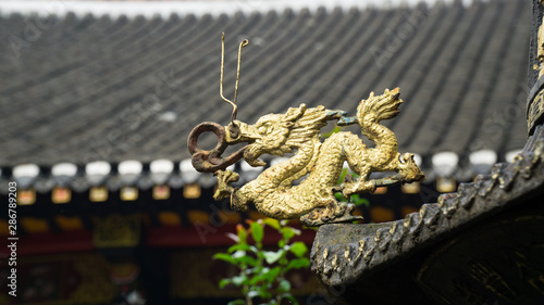 Dragon is a symbol of holiness in Asian culture