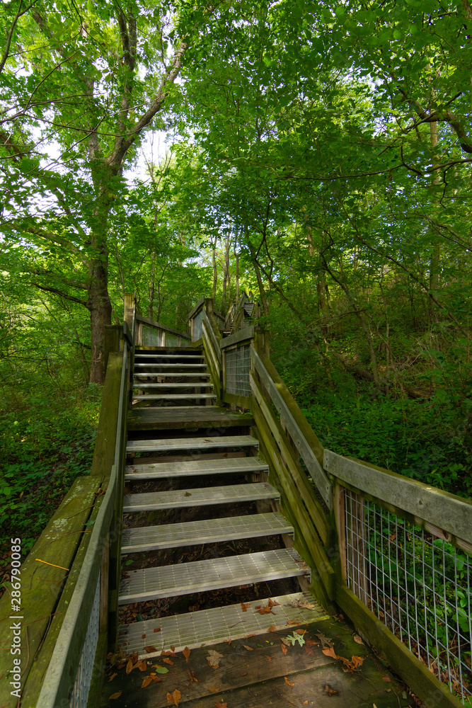 Walkway to the overlook