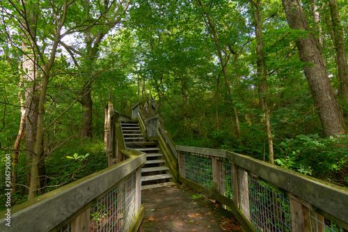 Walkway to the overlook © EJRodriquez