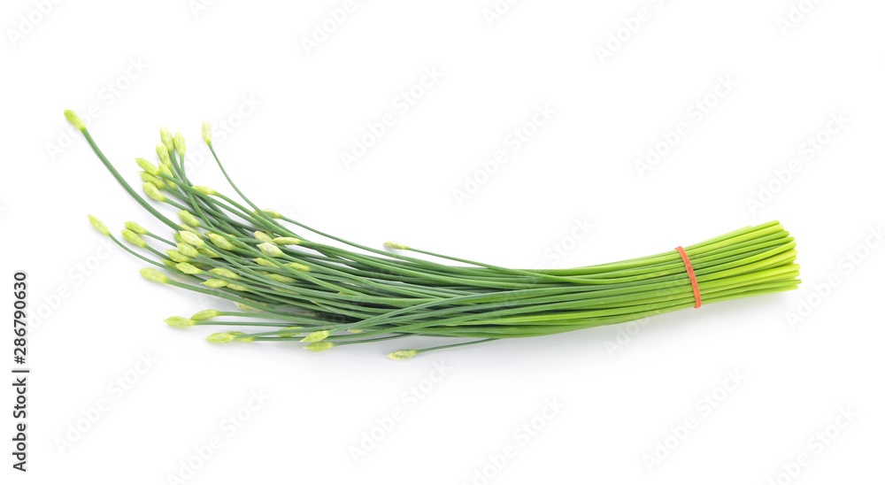 Green spring onion isolated on white background Green spring onion isolated on white background