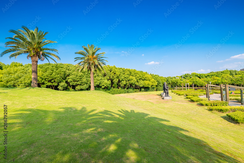Palm trees in Meilan Lake Park, Shanghai, China Palm trees in Meilan Lake Park, Shanghai, China