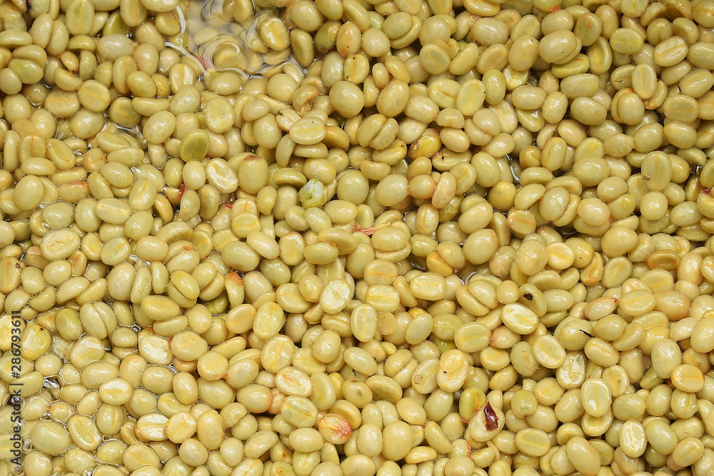 Coffee beans,In the ferment and wash method of wet processing Coffee beans,In the ferment and wash method of wet processing