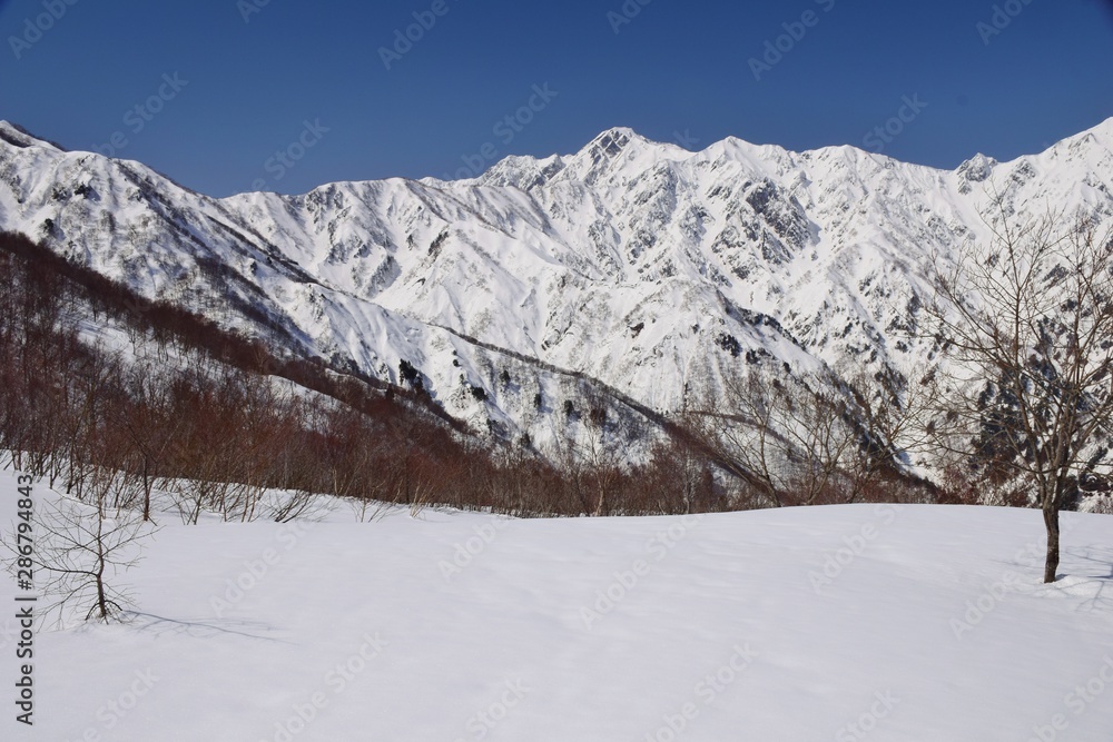 Hakuba Goryu snow resort, Nagano, Japan