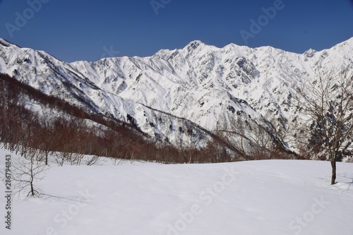 Hakuba Goryu snow resort, Nagano, Japan © sada