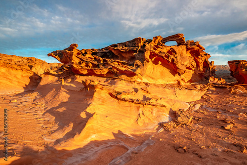 USA  Nevada  Clark County  Gold Butte National Monument. Red Aztec sandstone rock formations at Devil s Fire   Little Finland.
