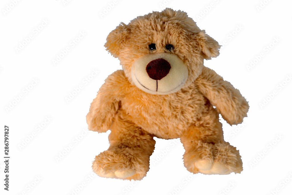 Teddy Bear White Background ,soft toy bear isolated on white background Teddy Bear White Background ,soft toy bear isolated on white background