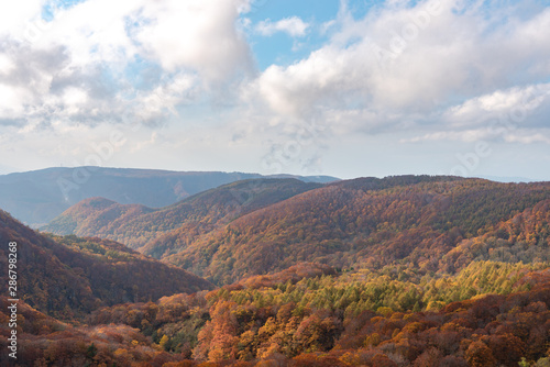 Autumn foliage scenery view, beautiful landscapes. Fall is full of magnificent colours. Entire mountain and valley is bathed in different hues of red, orange and golden colors background