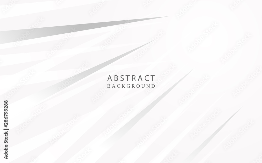 Abstract white and gray geometric background with silver light. Modern concept vector design template for use element modern cover, banner, wallpaper Abstract white and gray geometric background with silver light. Modern concept vector design template for use element modern cover, banner, wallpaper