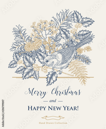 Christmas card with a bird and winter plants. Hand drawn tit, holly, spruse, pine branch and elderberry. Vector illustration. Vintage engraving style.