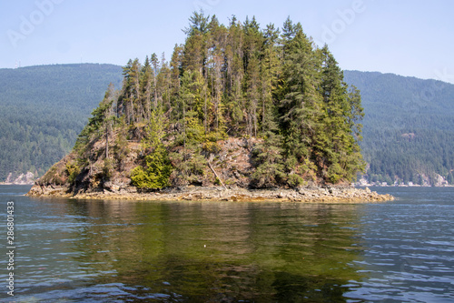 A small treed island in the bay