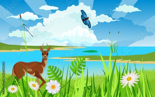  Wildlife nature scene, deer  at the river vector