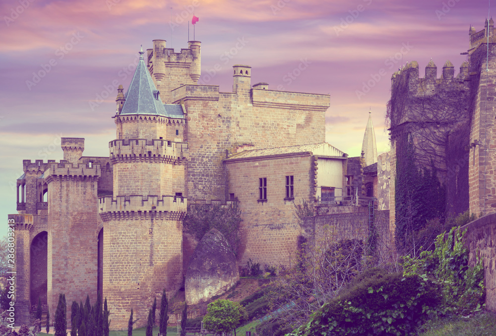 Castle. Toned image