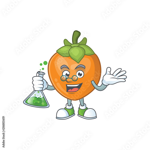 Professor persimmon cartoon character isolated with mascot