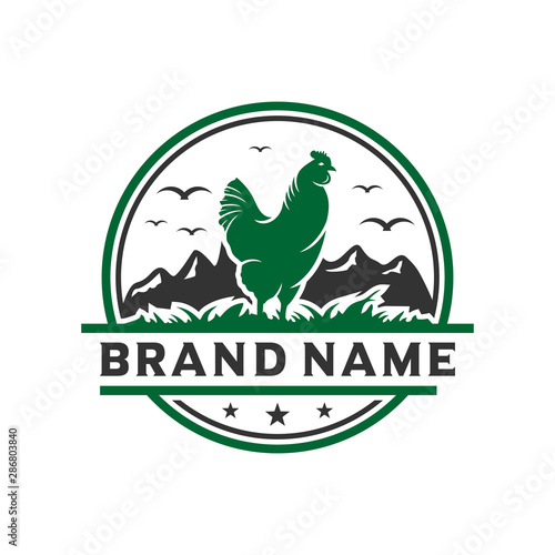 vintage chicken livestock logo design template