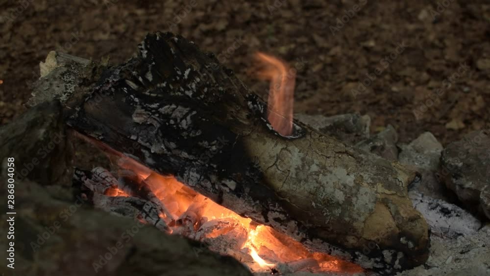 Outdoor campfire during the ITalian summer celebration of Ferragosto. Unusual wooden piece with the hole in it and fire passing through. Outdoor campfire during the ITalian summer celebration of Ferragosto. Unusual wooden piece with the hole in it and fire passing through.