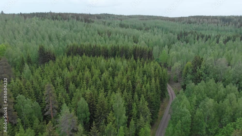 Flying a drone above trees in the middle of a forest. A beautiful Finnish nature and landscape. Flying a drone above trees in the middle of a forest. A beautiful Finnish nature and landscape.