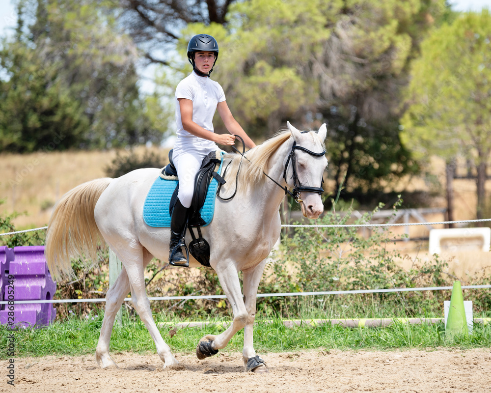 riding girl and horse riding girl and horse