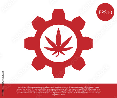 Red Chemical test tube with marijuana or cannabis leaf icon isolated on white background. Research concept. Laboratory CBD oil concept. Vector Illustration
