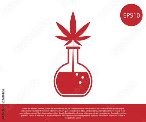 Red Chemical test tube with marijuana or cannabis leaf icon isolated on white background. Research concept. Laboratory CBD oil concept. Vector Illustration