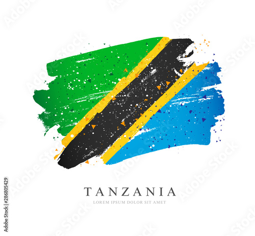 Flag of Tanzania. Vector illustration on a white background.