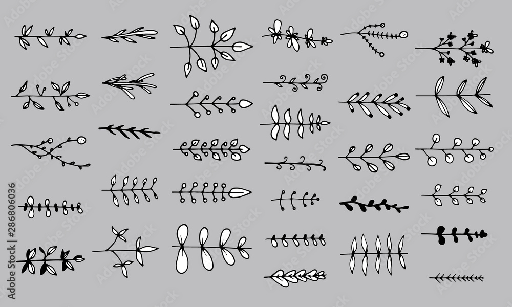 Set of floral elements isolated on grey background. Hand drawn leaves for unique design. Doodle nature Set of floral elements isolated on grey background. Hand drawn leaves for unique design. Doodle nature
