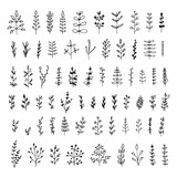 Big set of floral elements isolated on white background. Hand drawn  leaves for your design. Doodle nature