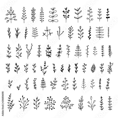 Big set of floral elements isolated on white background. Hand drawn leaves for your design. Doodle nature