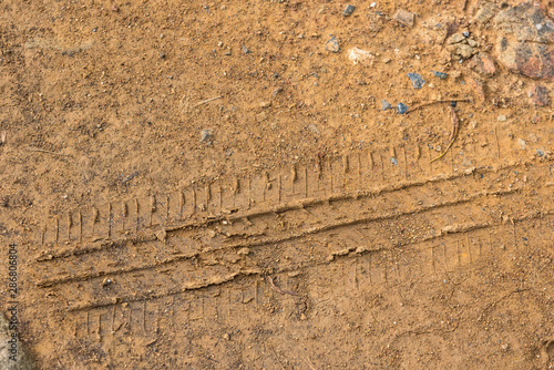 Wheel tracks on the soil.