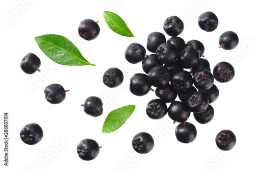 Chokeberry with green leaves isolated on white background. Black aronia. Top view. photo