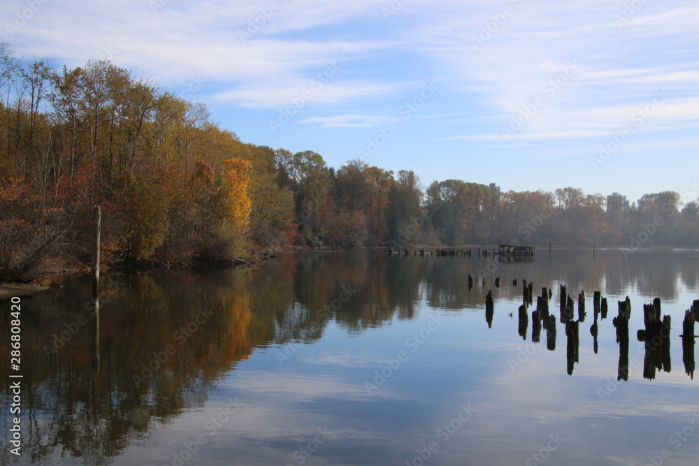 A view of the shore with colorful autumn leaves