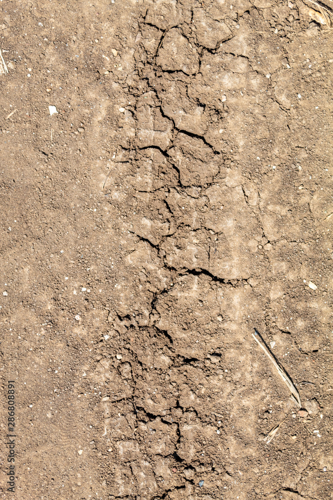 Fototapeta premium Embossed Wheel Tracks Into Rural Dirt Road