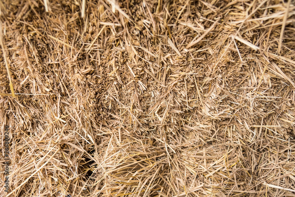 Straw, dry straw, straw background texture. Straw, dry straw, straw background texture.