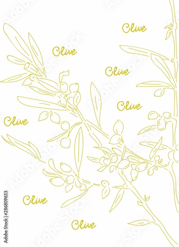 Olive tree branches. Creative Hand drawn logo. Vetor Illustration.