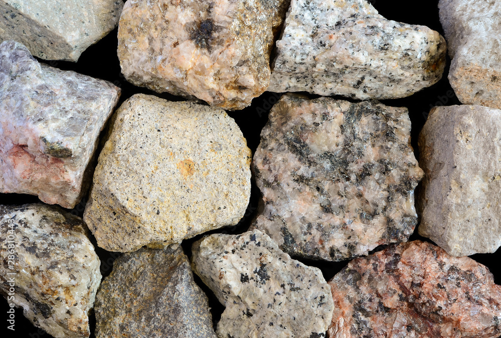 Close-up of various igneous rocks