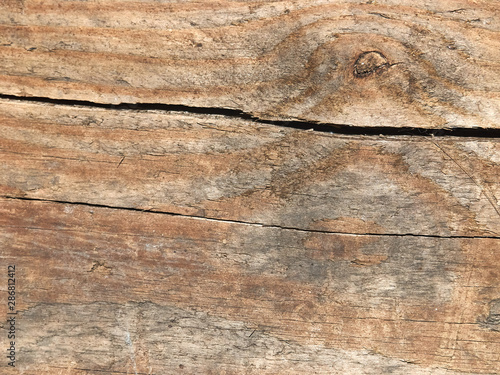 texture of old wood