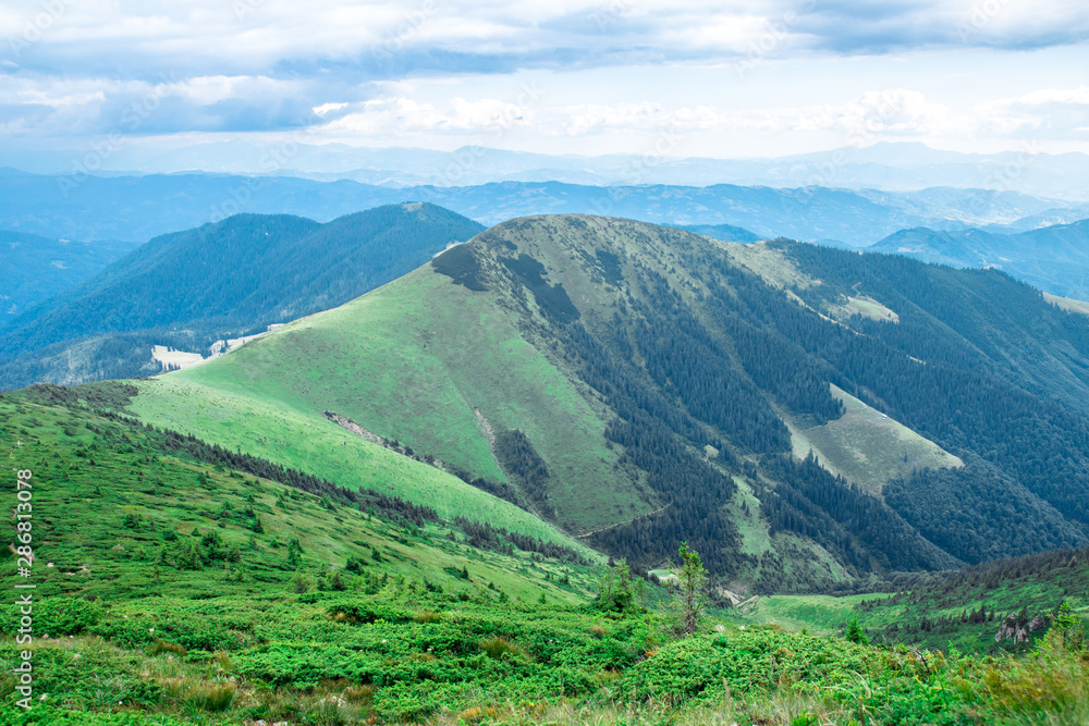 Naklejka premium green mountain Carpathians ridge, low clouds