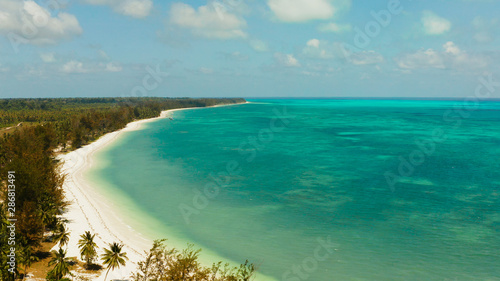 Coast of a tropical island with a sandy beach and turquoise water, top view. Punta Sebaring, Balabac, Palawan. Summer and travel vacation concept.