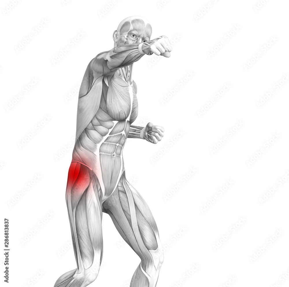 Conceptual hip human anatomy with red hot spot inflammation articular joint pain for leg health care therapy or sport muscle concepts. 3D illustration man arthritis or bone sore osteoporosis disease