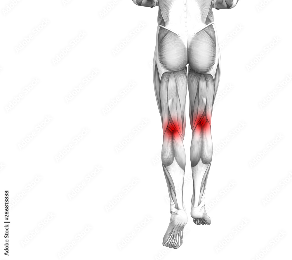 Conceptual knee human anatomy with red hot spot inflammation or articular joint pain for leg health care therapy or sport muscle concepts. 3D illustration man arthritis or bone osteoporosis disease