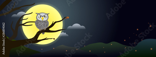 Spooky night owl resting on dead tree branch with full moon in the background.