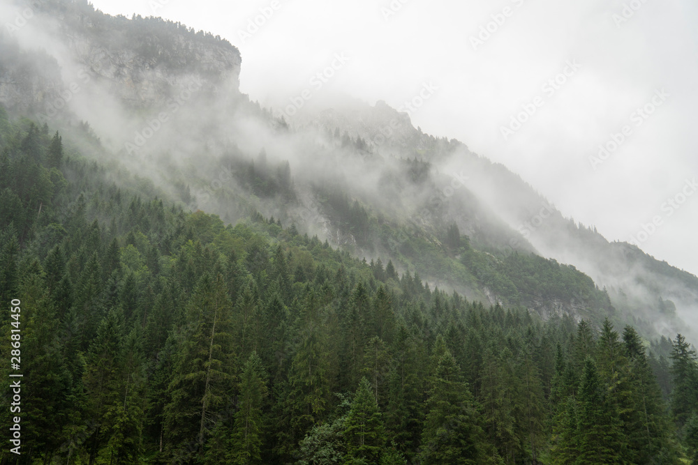 Nebelschwaden ziehen den Berghang hoch
