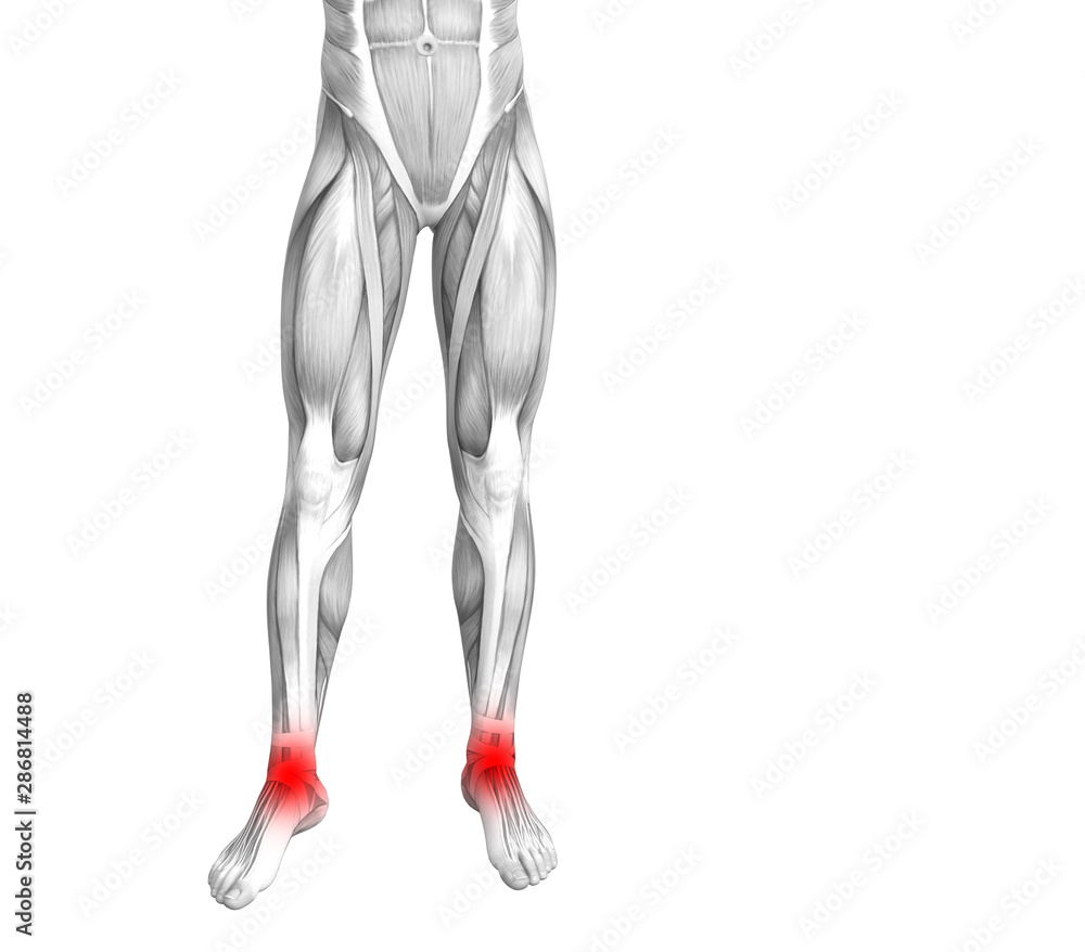 Conceptual ankle human anatomy with red hot spot inflammation or articular joint pain for leg health care therapy or sport muscle concepts. 3D illustration man arthritis or bone osteoporosis disease Conceptual ankle human anatomy with red hot spot inflammation or articular joint pain for leg health care therapy or sport muscle concepts. 3D illustration man arthritis or bone osteoporosis disease