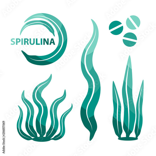 Spirulina seaweeds design elements. Underwater detox food.